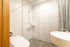 【スーペリアルシングル】洗面所