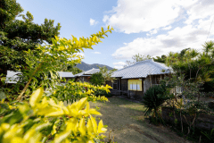 「サンゴ石小屋のある宿」季節のお花が咲きます
