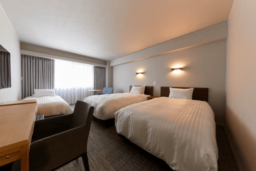 Deluxe twin (triple room)