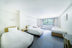 Deluxe twin (triple room)