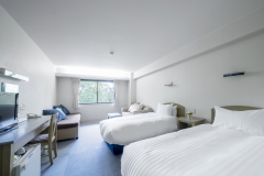 Deluxe twin (triple room)