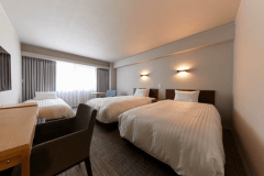 Deluxe twin (triple room) Deluxe twin (triple room)