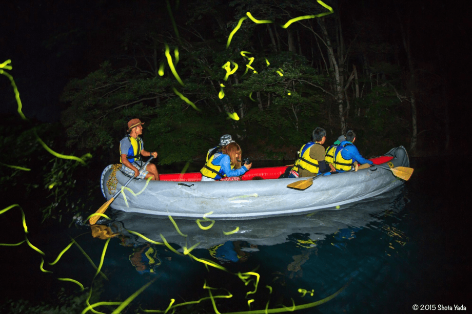 神秘的な夜の青木湖をクルージング！夏の夜の湖上のホタル鑑賞ツアー！