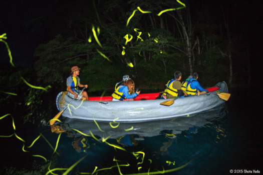 神秘的な夜の青木湖をクルージング！夏の夜の湖上のホタル鑑賞ツアー！