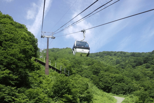 白馬五竜テレキャビンで8分の空中散歩。標高1,500ｍの白馬五竜高山植物園へ