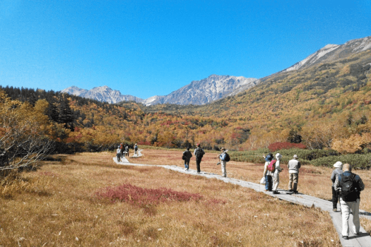 紅葉に囲まれながら遊歩道をウォーキングできる「栂池自然園」 紅葉に囲まれながら遊歩道をウォーキングできる「栂池自然園」