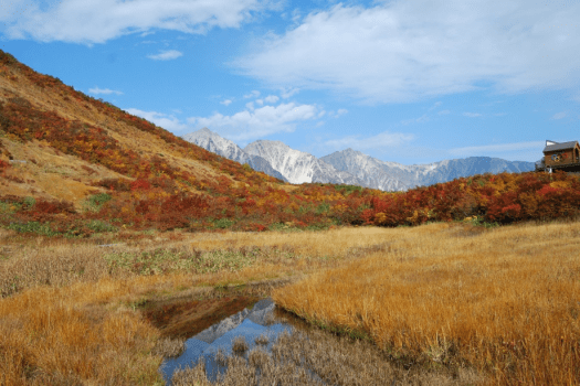 秋の紅葉と「白馬三山」 秋の紅葉と「白馬三山」