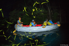 神秘的な夜の青木湖をクルージング!夏の夜の湖上のホタル鑑賞ツアー! 神秘的な夜の青木湖をクルージング!夏の夜の湖上のホタル鑑賞ツアー!