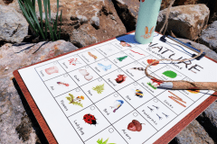 ＜14日前早割＞【蔵王を遊びつくそう】約50種から選べるアクティビティクーポン2,000円分付！