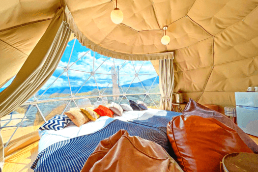 〈Weekdays only〉 Standard plan with pick-up and drop-off service! (Dinner & Breakfast)