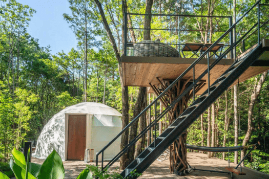 〈Weekdays only〉 Standard plan with pick-up and drop-off service! (Dinner & Breakfast)