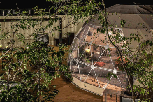 〈Weekdays only〉 Standard plan with pick-up and drop-off service! (Dinner & Breakfast)