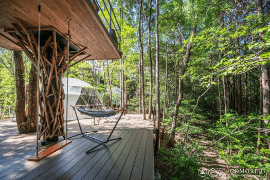 【Pet-Friendly】〈Sky Garden & Tree Swing〉Dome Tent 6m (Up to 5People)