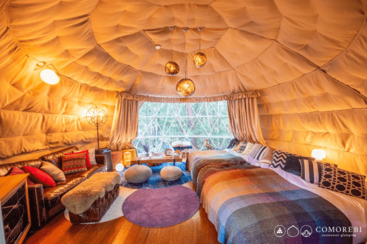 【Pet-Friendly】Dome Tent 6m (Up to 5People)