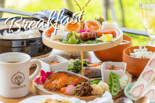 〈Weekdays only〉 Standard plan with pick-up and drop-off service! (Dinner & Breakfast)