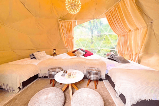 【Up to 4People】Dome Tent 5M