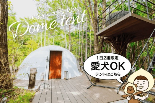 【最大5名】〈愛犬OK/天空テラス・ブランコ付〉 ドーム型テント6m (シングル3台)