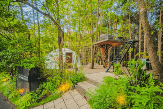 【Pet-Friendly】〈Sky Garden & Tree Swing〉Dome Tent 6m (Up to 5People)