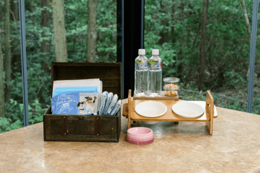 【Pet-Friendly】〈Sky Garden & Tree Swing〉Dome Tent 6m (Up to 5People)