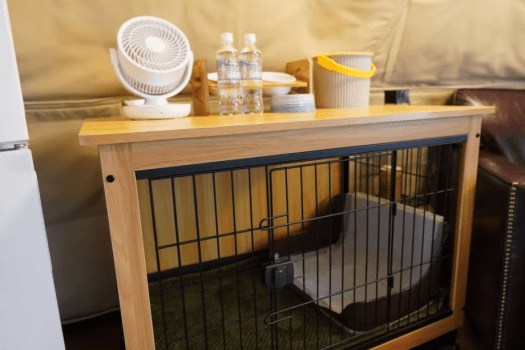 【Pet-Friendly】〈Sky Garden & Tree Swing〉Dome Tent 6m (Up to 5People)