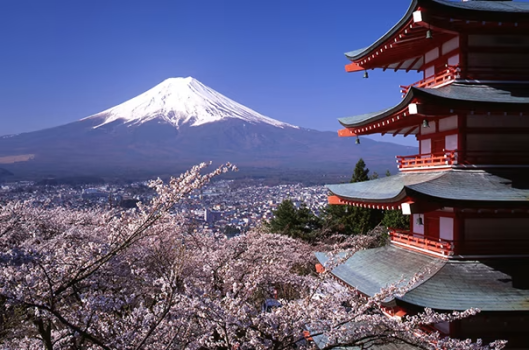 【5・6月限定】≪最大30％OFF≫ お得に初夏を楽しむファミリー・グループ旅行応援プラン!!〈選べるお食事〉