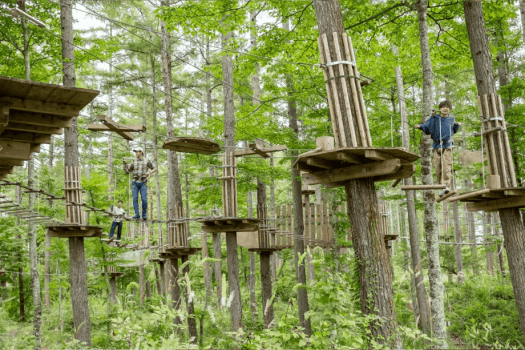 【フォレストアドベンチャー半額】晴れも雨も100％遊びつくす！豪華で楽しい特典つき