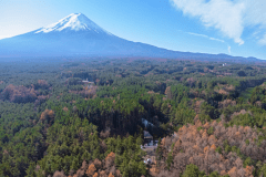 【素泊り】＜simple stay＞自由に素泊まり・持ち込みプラン