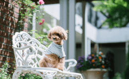 【本館】中庭はフォトジェニックなスポット♪