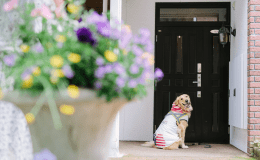 【本館】全室中庭から入室できるので別荘気分でお寛ぎいただけます。