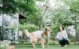【本館・ドッグラン付き客室】ドッグラン付きのお部屋は大型わんちゃんと一緒にお泊まりOK。最大2頭まで