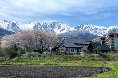 ☆旅の予定に合わせて自由につくれるマイ宿泊プラン☆