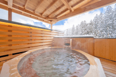 View from the open-air bath (winter)