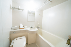 Unit bath in the room