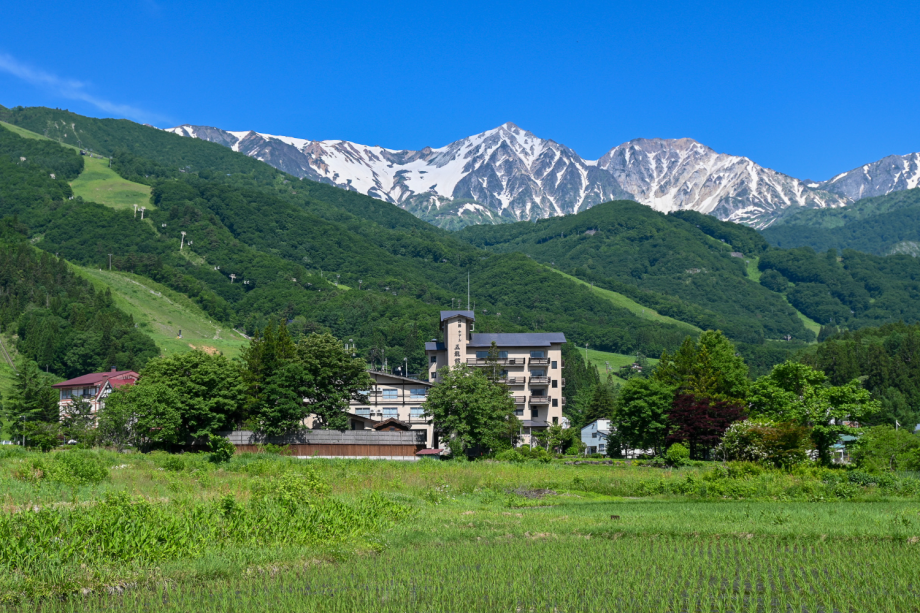 [SPRING TO AUTUMN] Official Website Offer – Breakfast & Onsen Included