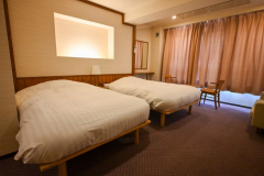 Superior Twin Room Superior Twin Room