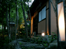 ◆丘の想◇館内イメージ◆木々の美しさを随所で味わう