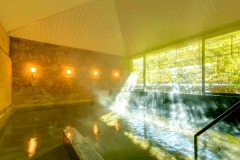 【今夜は温泉に帰ろう♪】1泊朝食付/仕事帰りにふらっと温泉へ♪～お部屋の瓶ビール2本無料だよ！