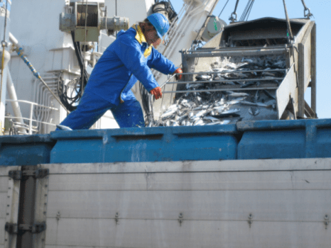 【お部屋出しまたは個室食】≪１日２組限定≫７５センチの大舟盛りを豪快に味わう！【2食付き】