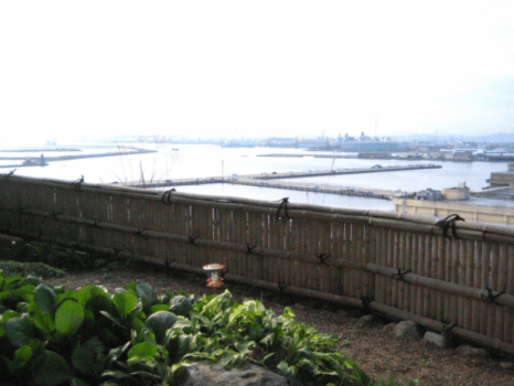 【お部屋出しまたは個室食】お好きな食べ方で！アワビ踊り焼き･アワビの刺身･アワビのステーキから選べる【2食付き】