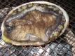 【お部屋出し】お好きな食べ方で！アワビ踊り焼き･アワビの刺身･アワビのステーキから選べる【2食付き】