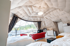 ラグジュアリーな空間で、ペットと共に非日常の優雅な時間をお楽しみください。