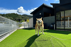 愛犬同伴でお越しの方に♪
わんちゃんがのびのびと走れるドッグランをご用意しました。