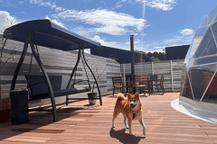 プライベートデッキでわんちゃんと一緒にグランピングをお楽しみ頂け、さらに隣接するドッグランもご利用いただけます。