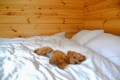 こちらのお部屋はわんちゃんと一緒にベッドでお休みいただけます。
※必ずオムツの着用をよろしくお願いいたします。ベッドで粗相された際はクリーニング代を請求させていただきます。 こちらのお部屋はわんちゃんと一緒にベッドでお休みいただけます。
※必ずオムツの着用をよろしくお願いいたします。ベッドで粗相された際はクリーニング代を請求させていただきます。