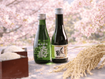 春の記念日旅行にもおすすめ。村上の地酒&times;村上牛&times;塩引き鮭を味わう、お宿ガストロノミ―プランです