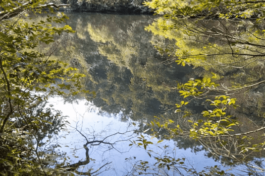 ■素泊り■＜俎石山-まないたいしやま-ハイキングプラン＞～大阪府唯一の絶景。大阪湾をのぞむ人気コース～