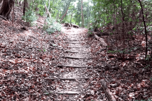 ■素泊り■＜俎石山-まないたいしやま-ハイキングプラン＞～大阪府唯一の絶景。大阪湾をのぞむ人気コース～