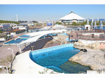 ツインルーム 【シーパラダイス側】