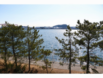 ツインルーム 【海側】