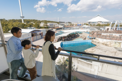 横浜・八景島シーパラダイスの施設側に面した一部のお部屋のテラスからは、シーパラダイス内の風景やふれあいラグーンの動物たちの様子もご覧いただけます。
※写真はイメージ
